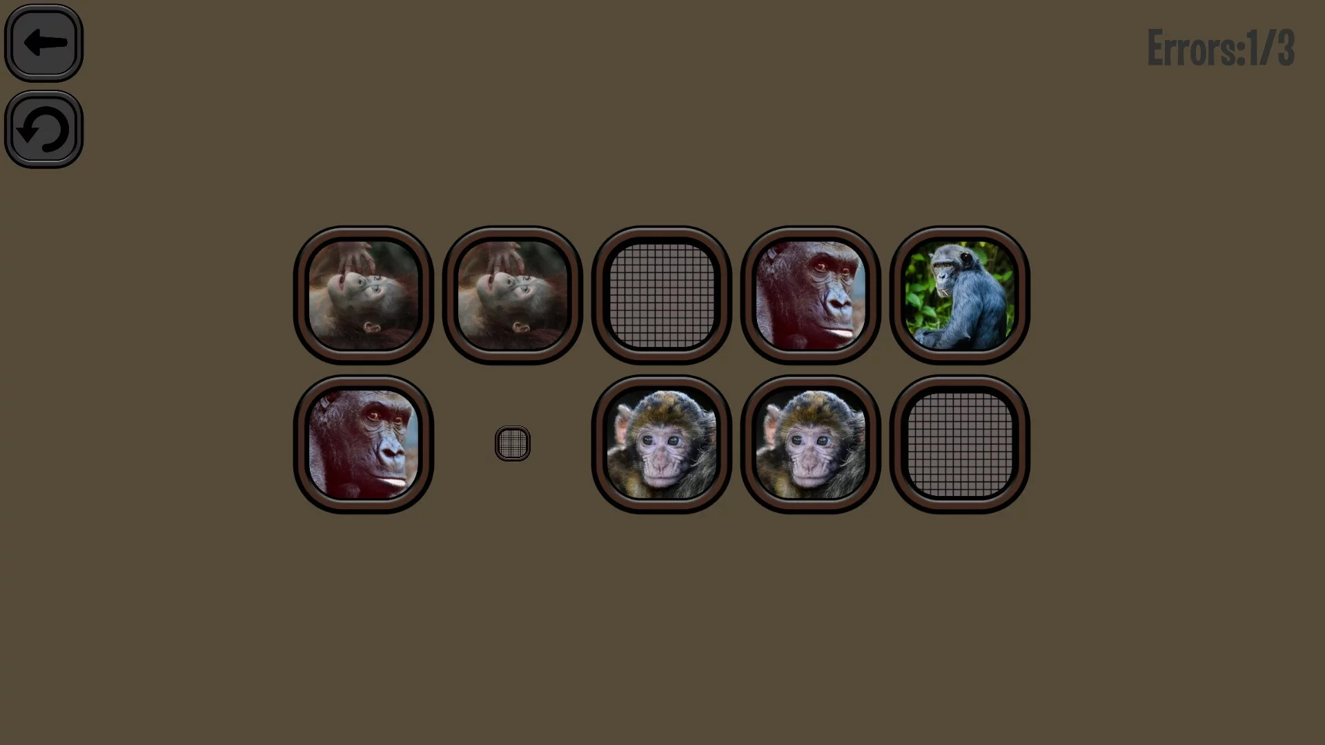 Изображение игры: Animals Memory: Monkeys