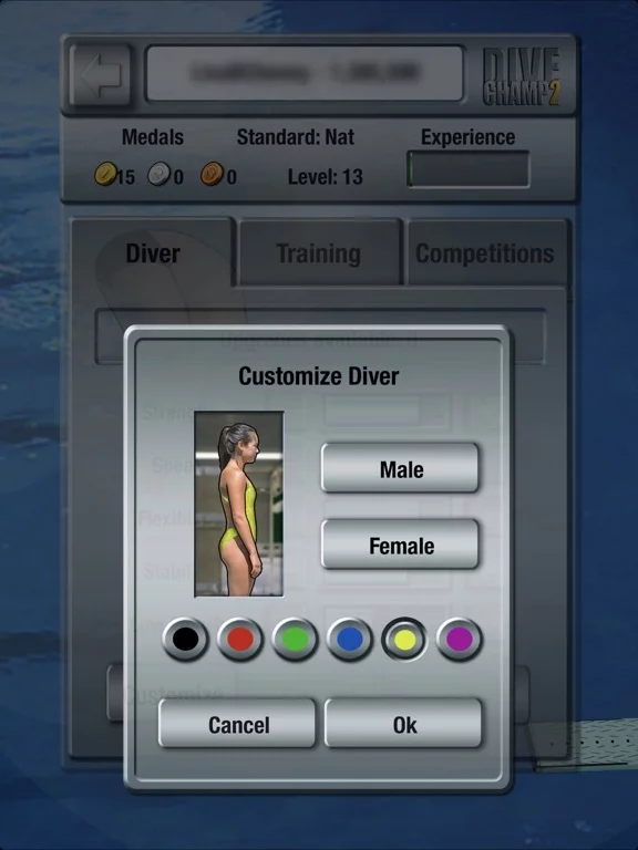 Изображение игры: DiveChamp2