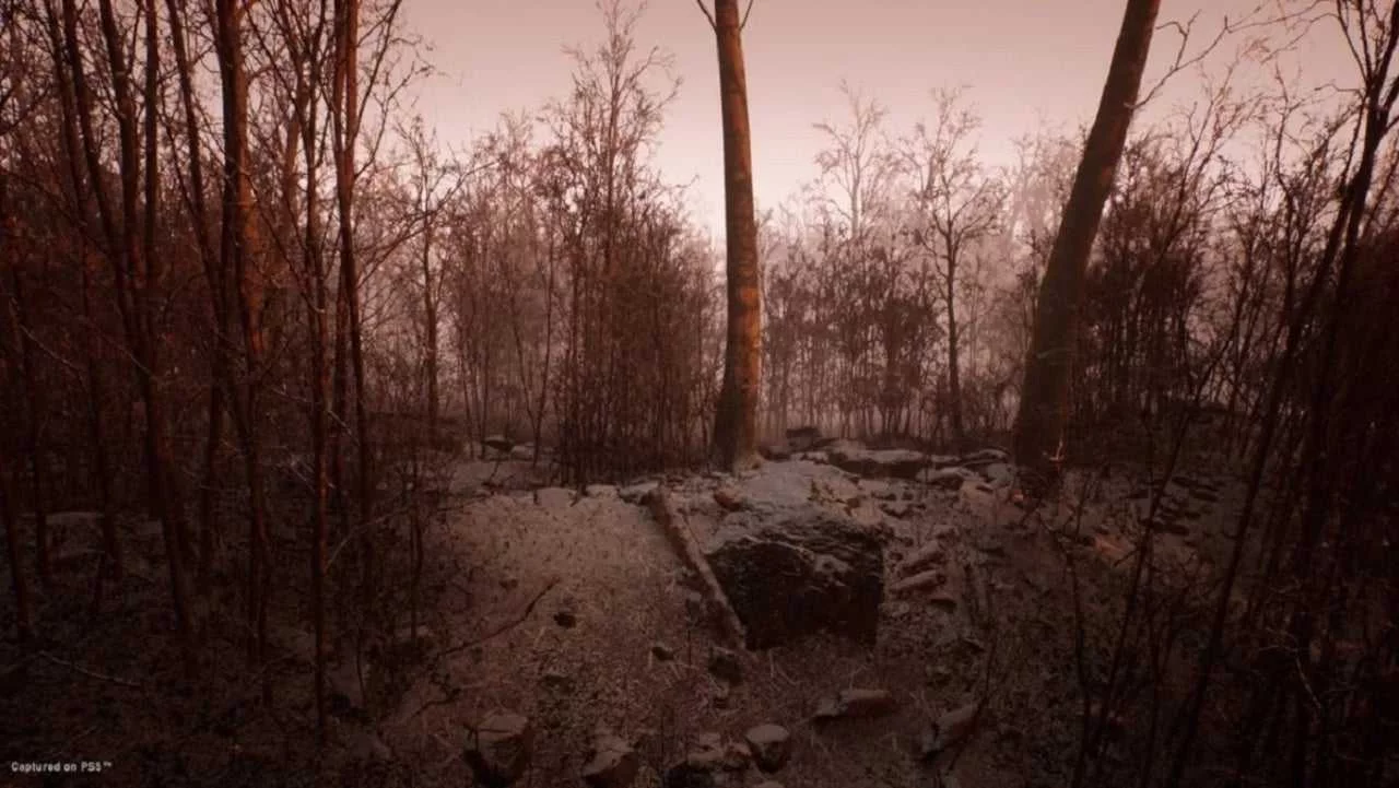 Изображение игры: Abandoned (PS5)