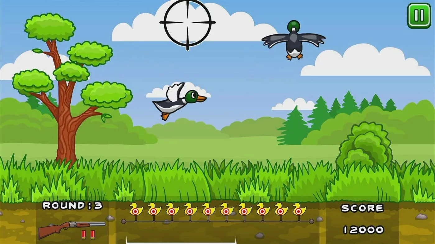 Изображение игры: Hunt Ducks