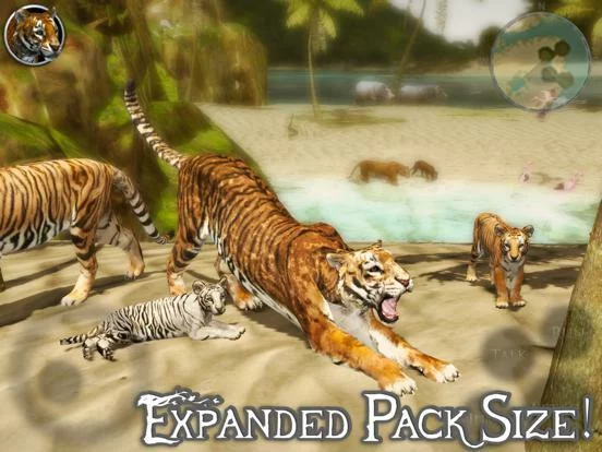 Изображение игры: Ultimate Tiger Simulator 2