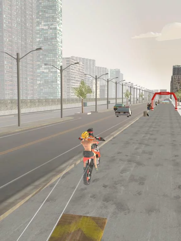 Изображение игры: Bike Flip: The Desert Action
