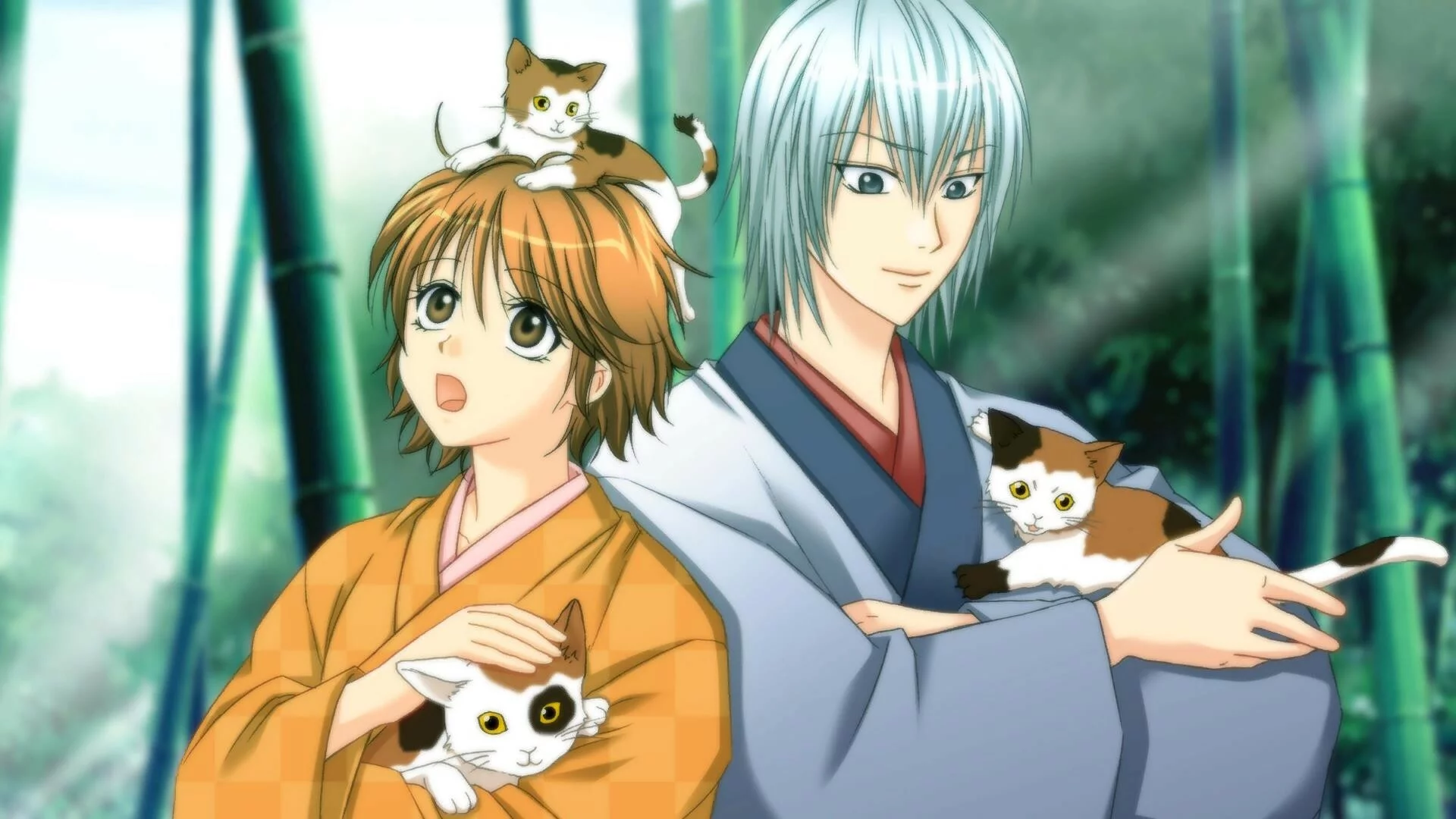 Изображение игры: Bakumatsu Renka SHINSENGUMI