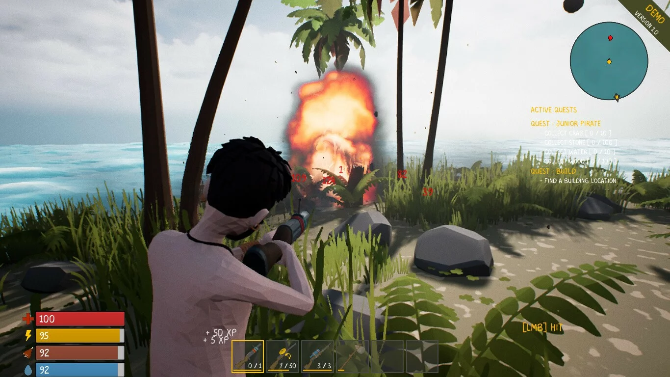 Изображение игры: The Pirate King