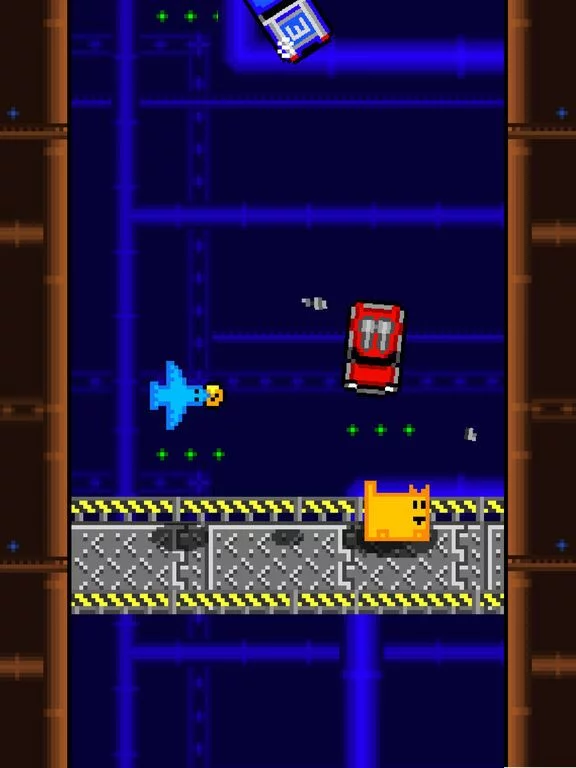 Изображение игры: Box Cat Bash