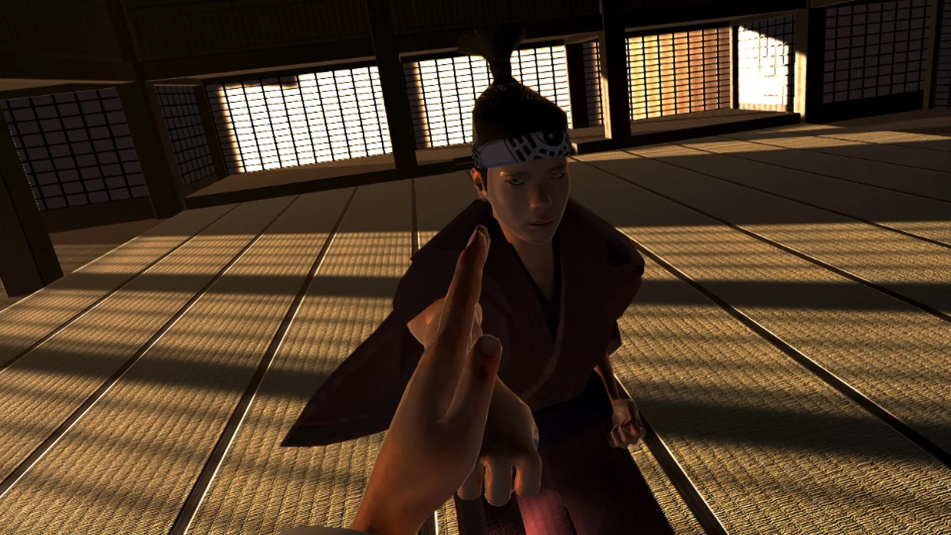 Изображение игры: Dragon Fist: VR Kung Fu