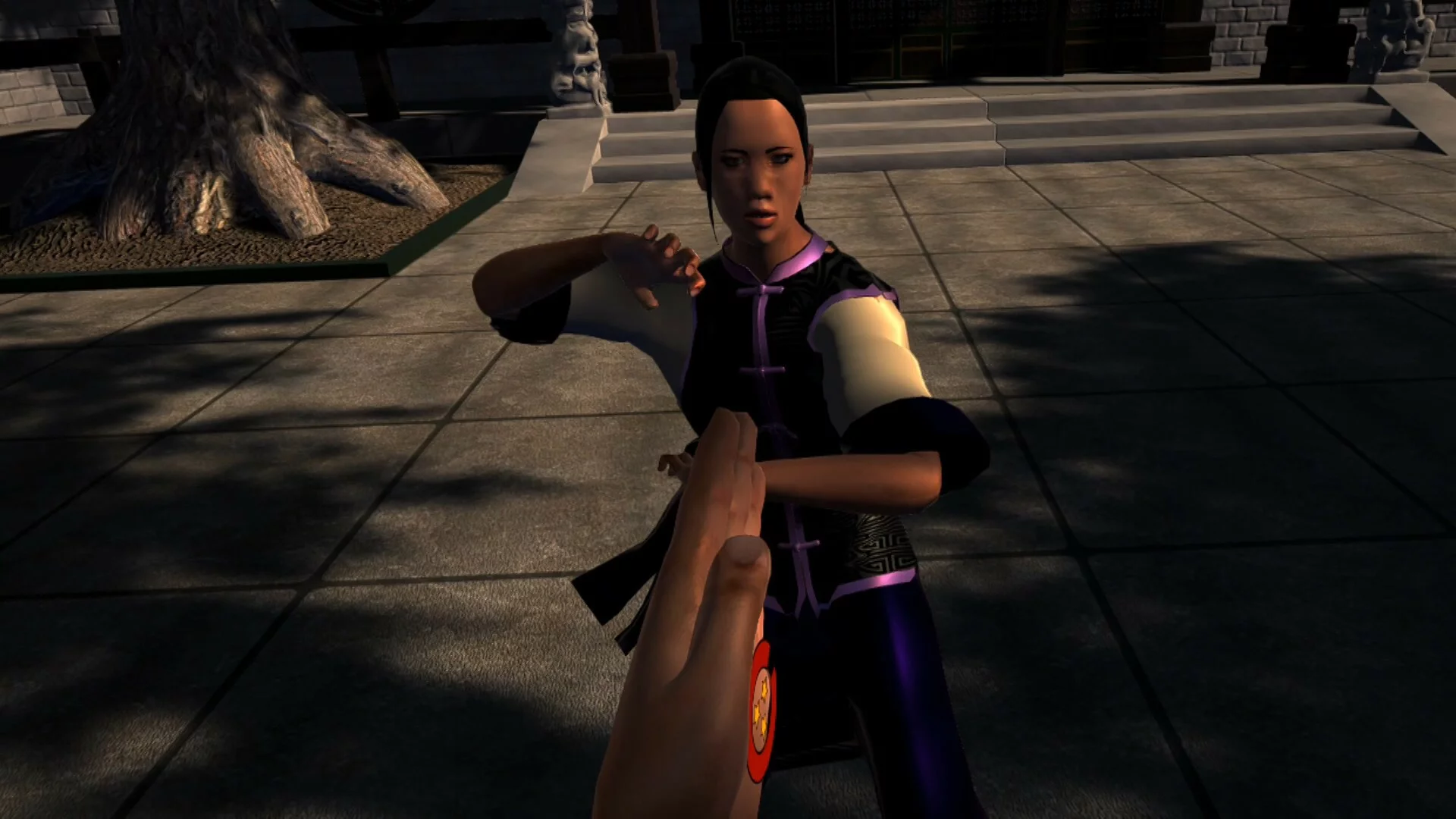 Изображение игры: Dragon Fist: VR Kung Fu