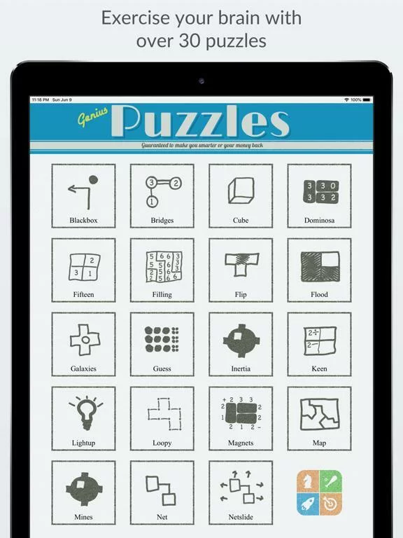 Изображение игры: Genius Puzzles