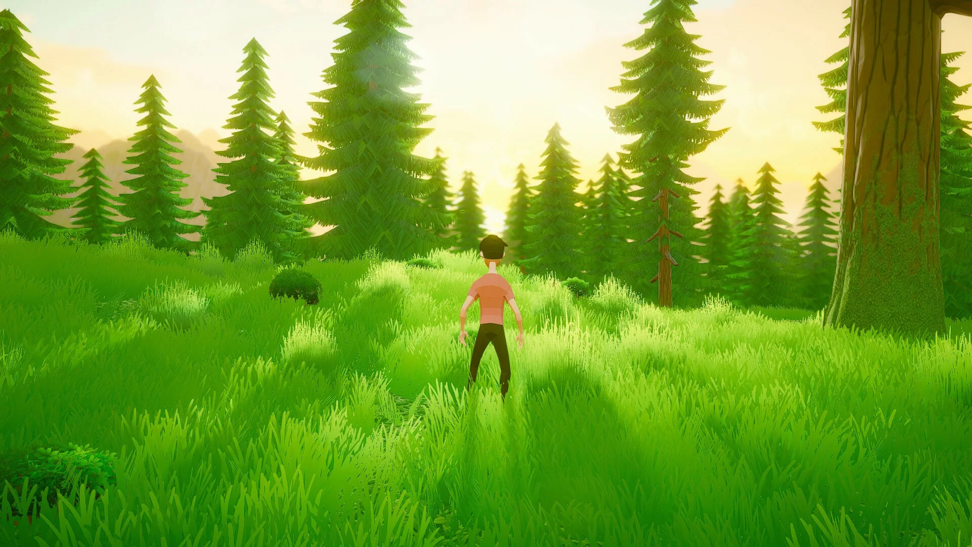Изображение игры: Flowers for You: a pleasant walk