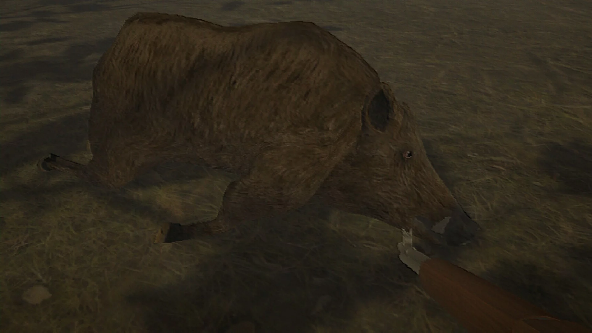 Изображение игры: Hog Hunter 2021