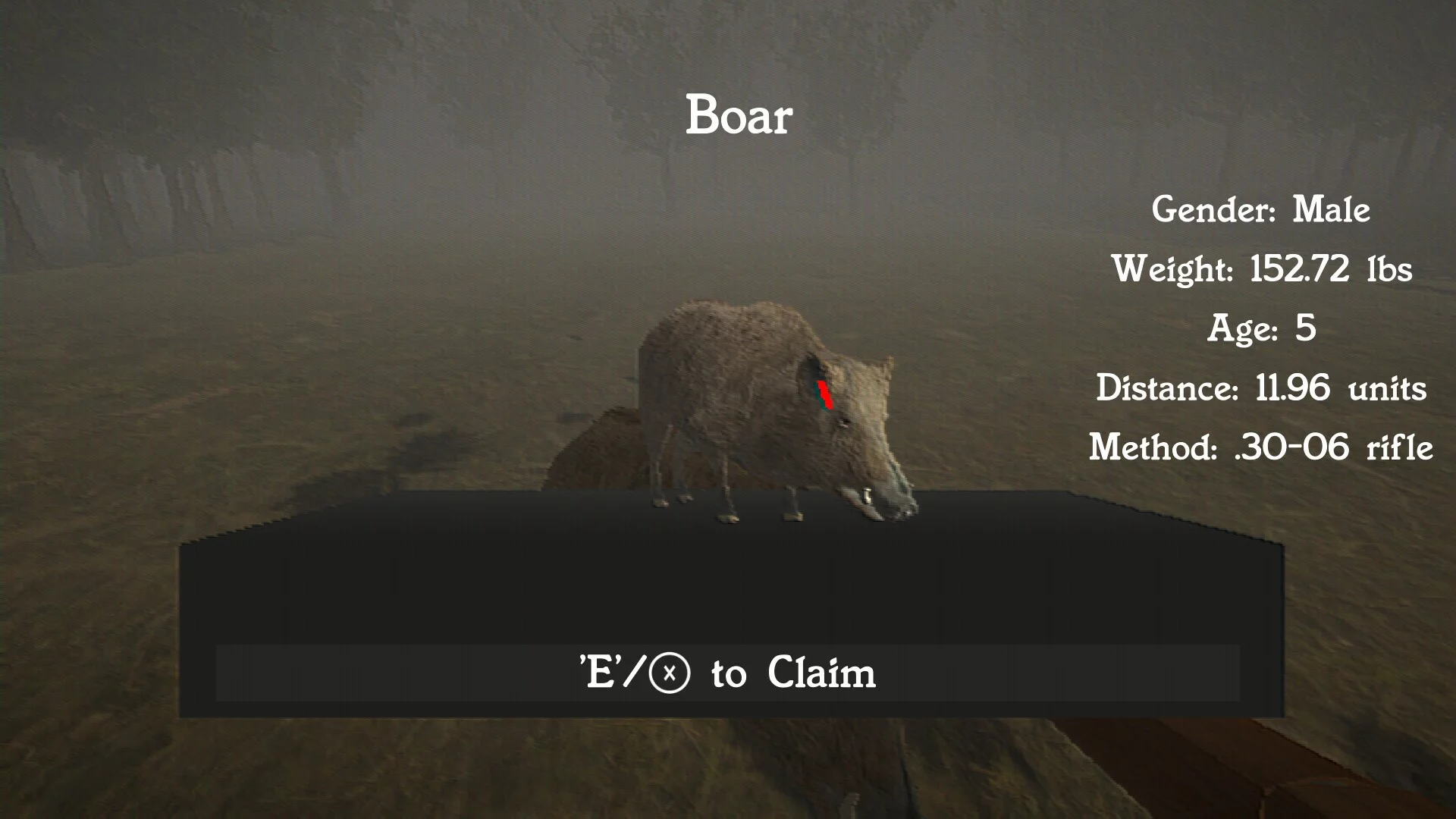 Изображение игры: Hog Hunter 2021