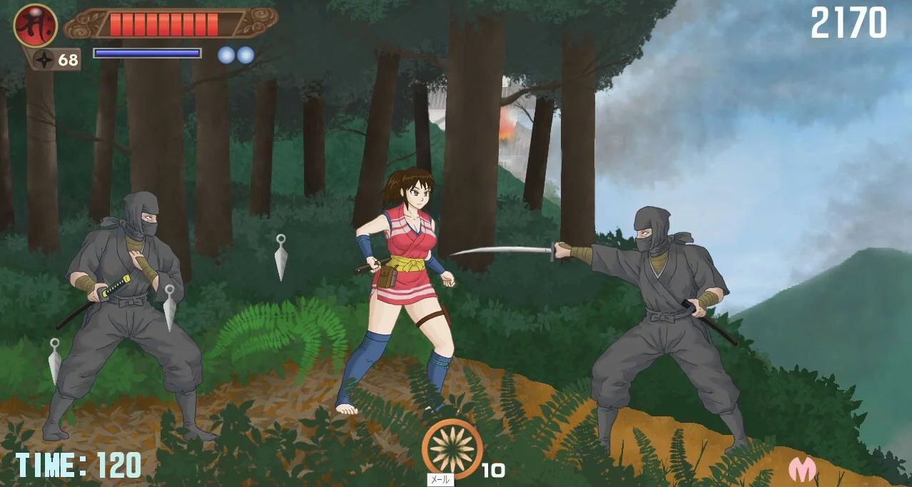 Изображение игры: NINJA GIRL
