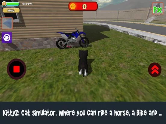 Изображение игры: KittyZ: Cat Simulator where you can ride