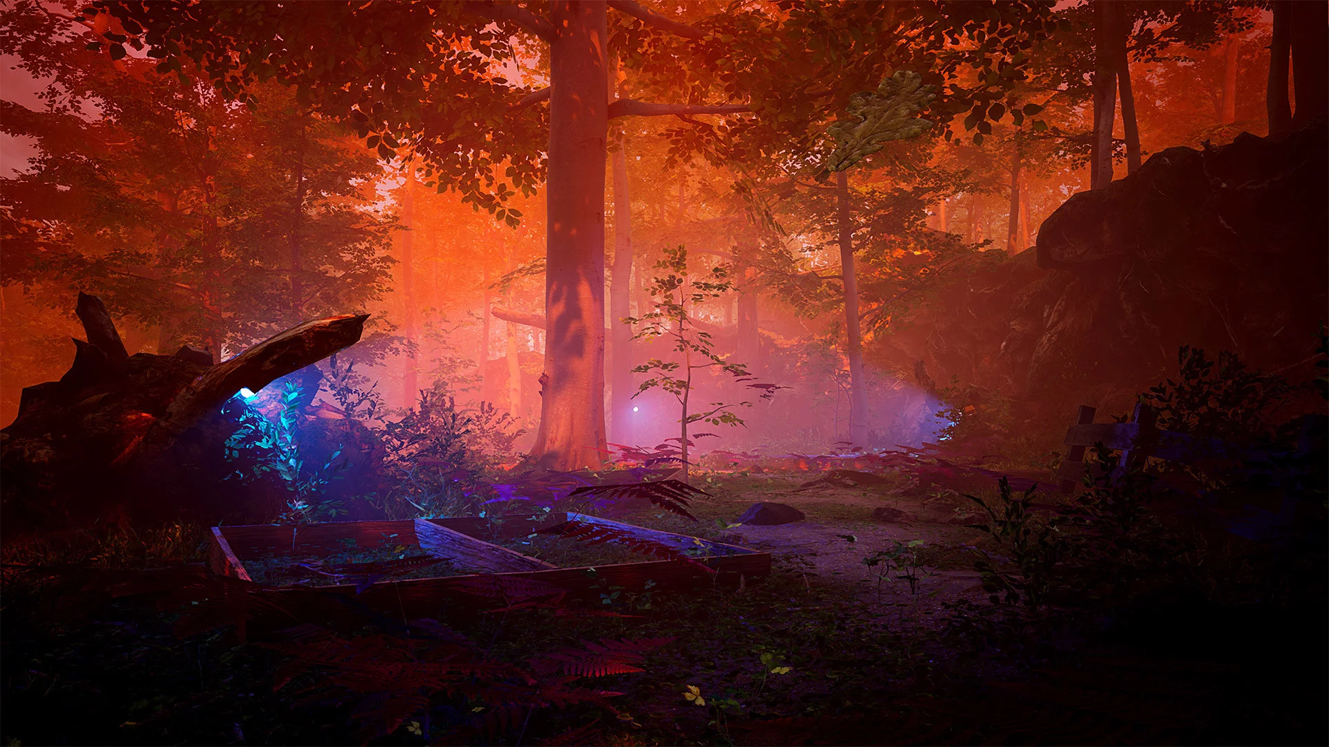 Изображение игры: The Fabled Woods