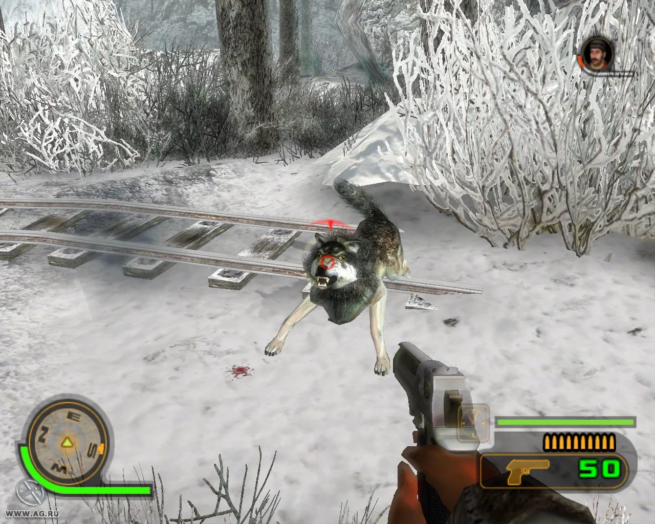 Изображение игры: Cabela's Dangerous Hunts 2