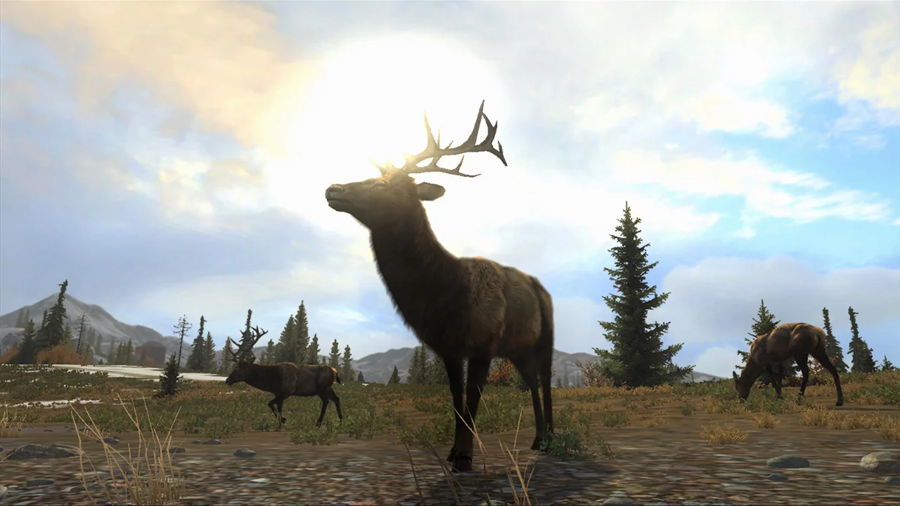 Изображение игры: Cabela's Big Game Hunter Pro Hunts