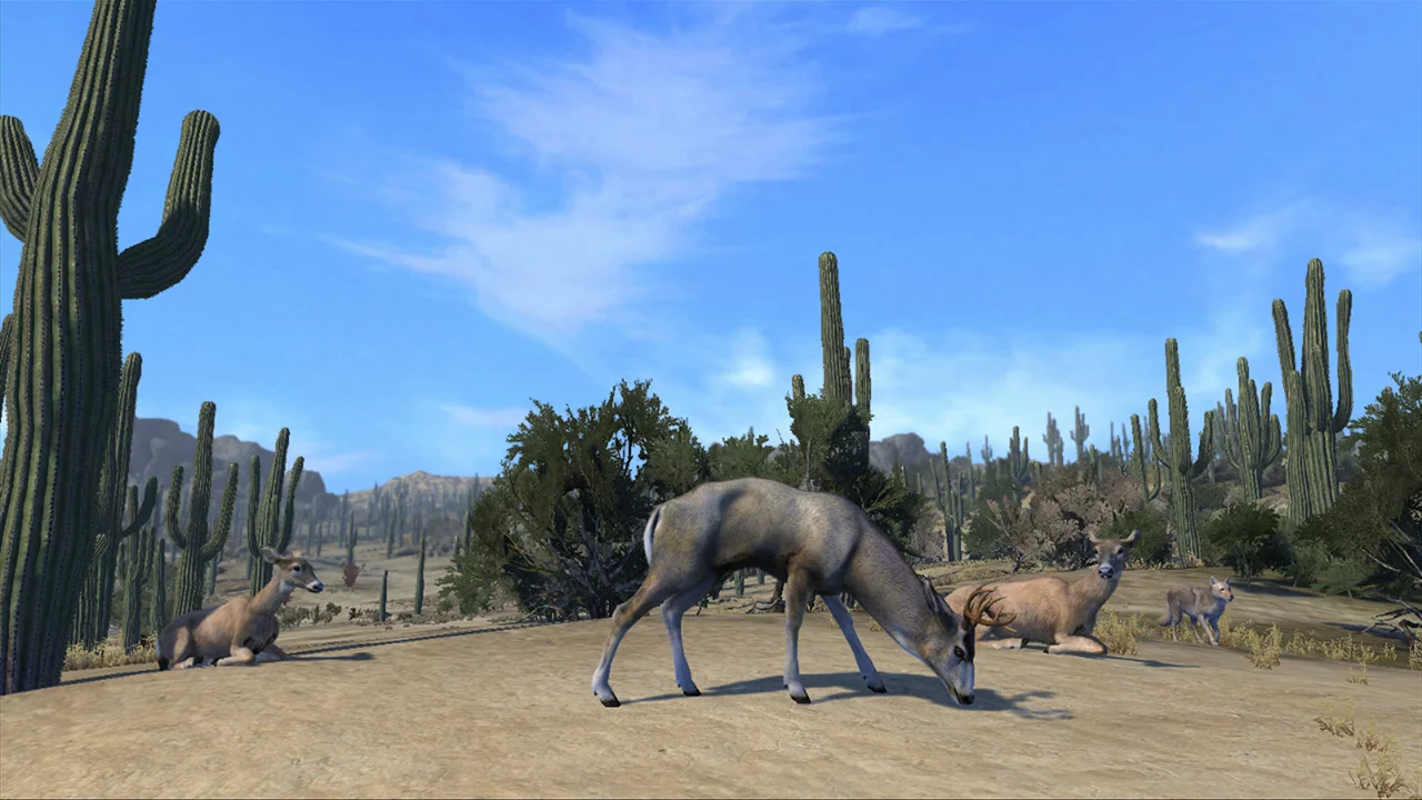Изображение игры: Cabela's Big Game Hunter Pro Hunts