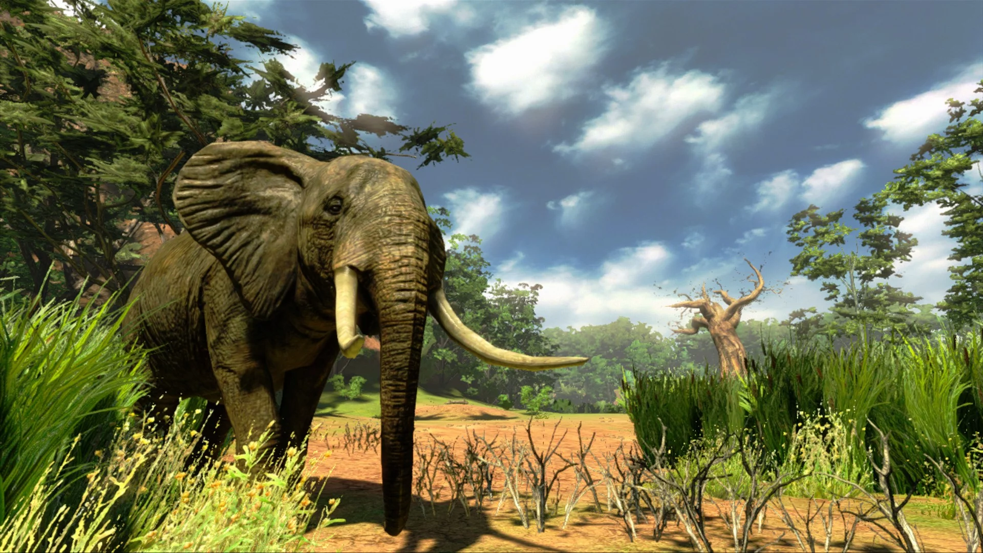 Изображение игры: Cabela's Hunting Expeditions