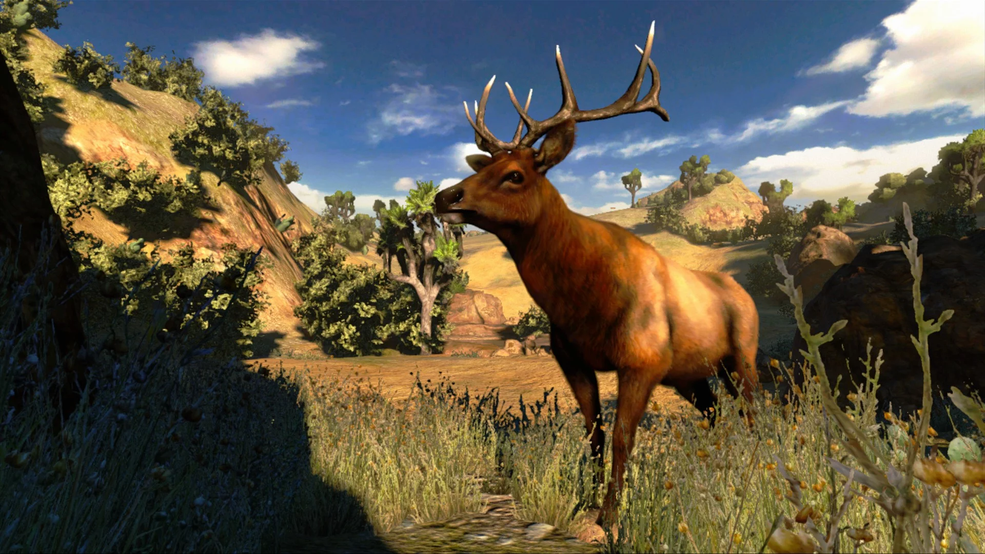 Изображение игры: Cabela's Hunting Expeditions