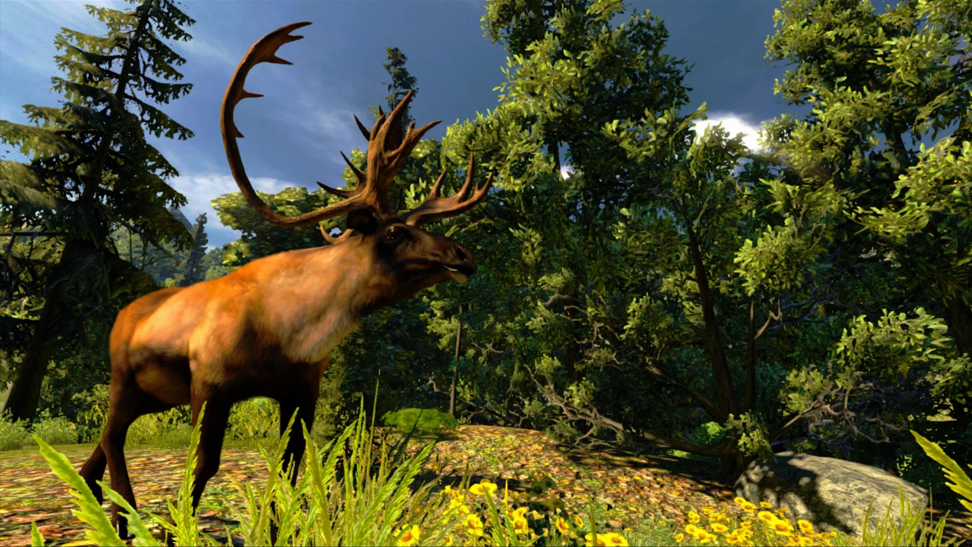 Изображение игры: Cabela's Hunting Expeditions
