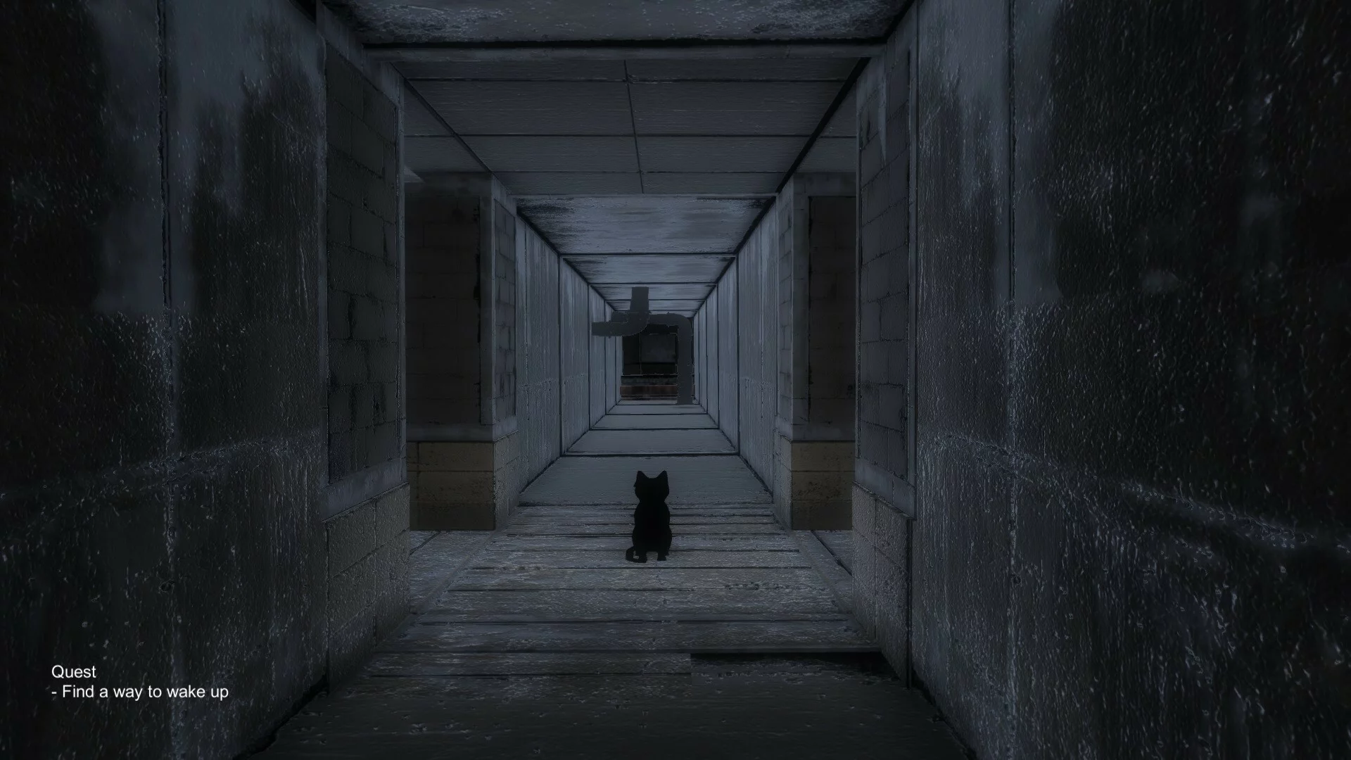 Изображение игры: Black Cat