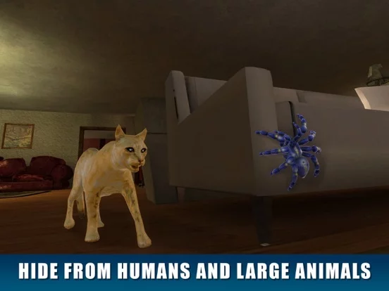 Изображение игры: House Spider Survival Simulator 3D