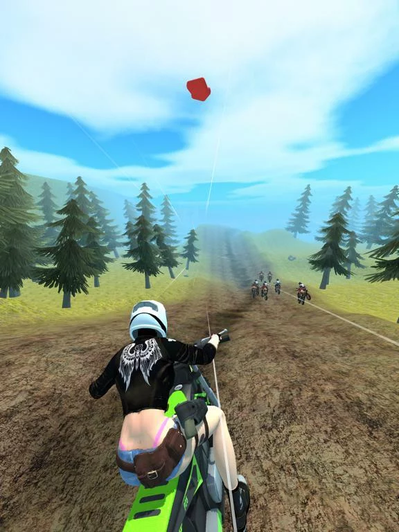 Изображение игры: MotoRE: Real Extreme
