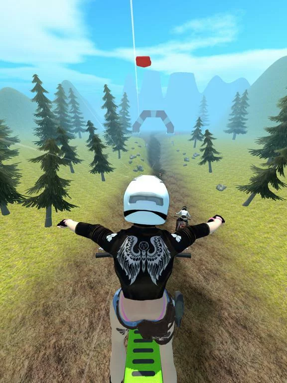 Изображение игры: MotoRE: Real Extreme