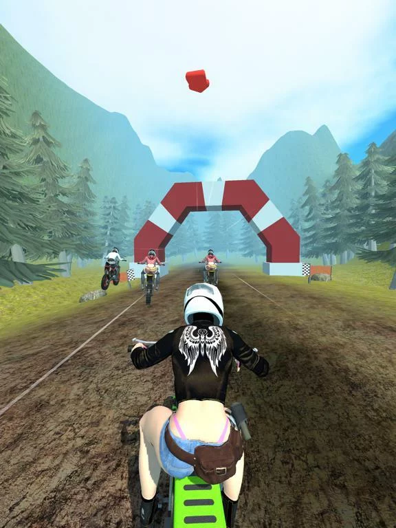 Изображение игры: MotoRE: Real Extreme