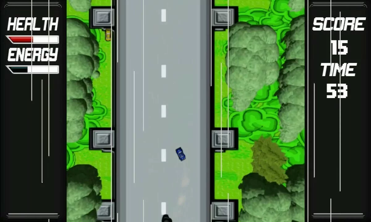 Изображение игры: Road Flash