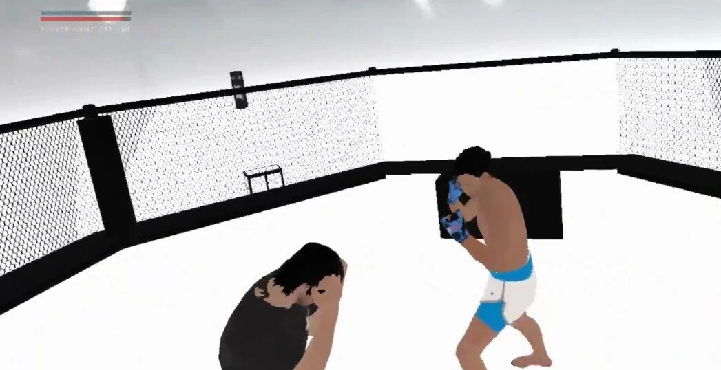 Изображение игры: VR BOXING MASTER