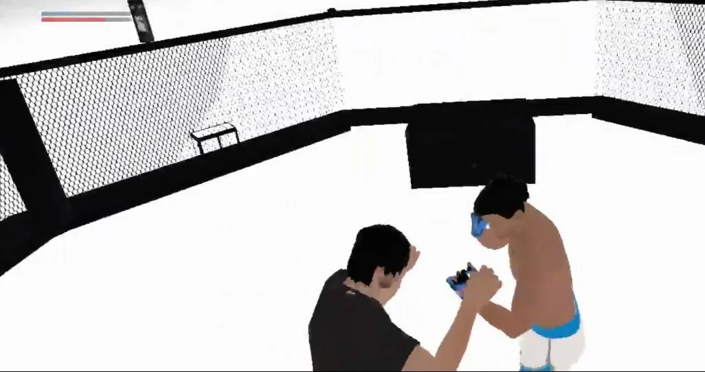 Изображение игры: VR BOXING MASTER