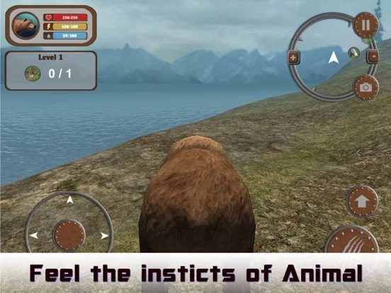 Изображение игры: Wild Bear 3D Hunting Simulator