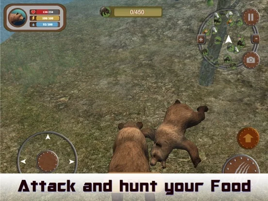 Изображение игры: Wild Bear 3D Hunting Simulator