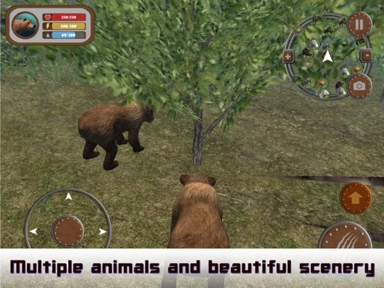 Изображение игры: Wild Bear 3D Hunting Simulator