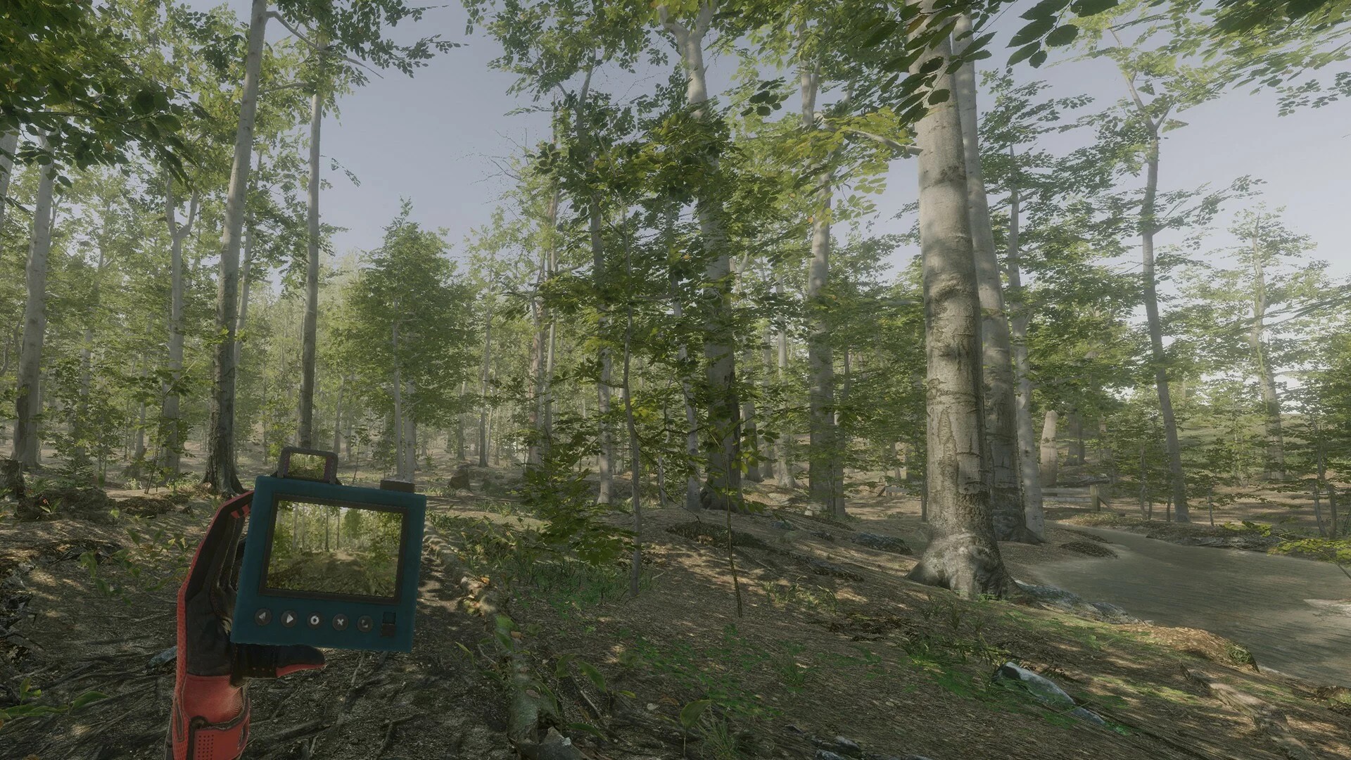 Изображение игры: VR Walking Simulator