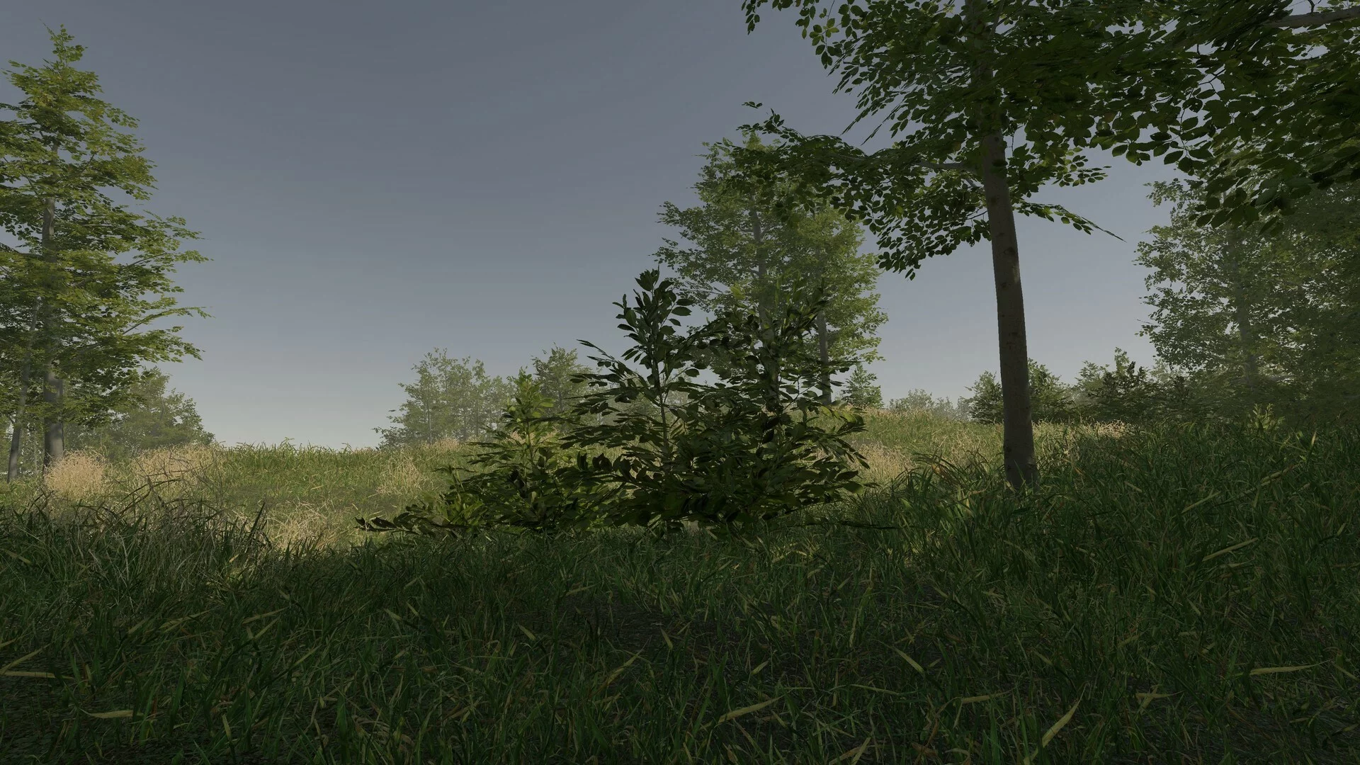 Изображение игры: VR Walking Simulator