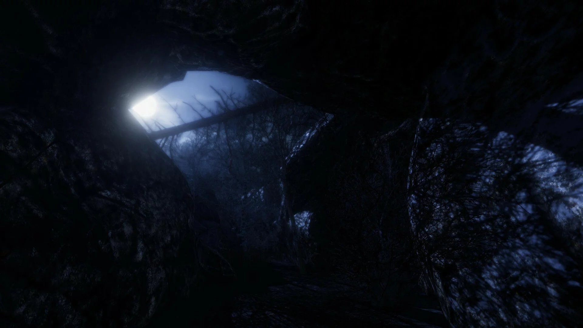 Изображение игры: The Forgotten