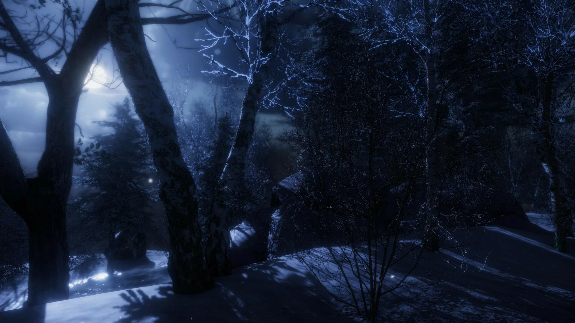 Изображение игры: The Forgotten