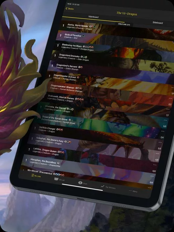 Изображение игры: Dragon Shield MTG Card Manager