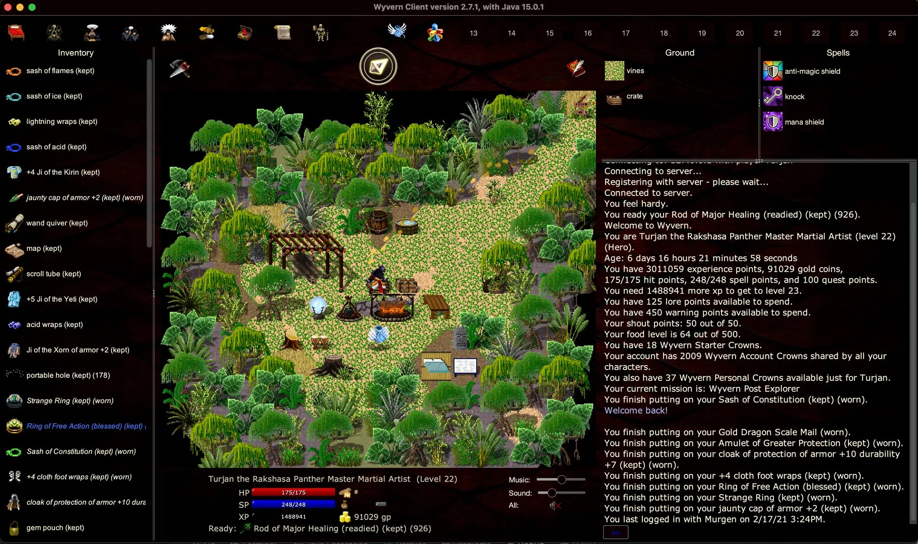 Изображение игры: Wyvern