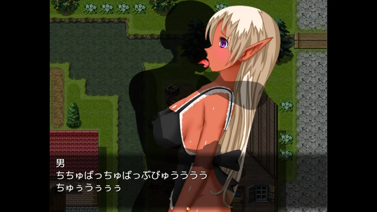 Изображение игры: Dark Elf's Adventure