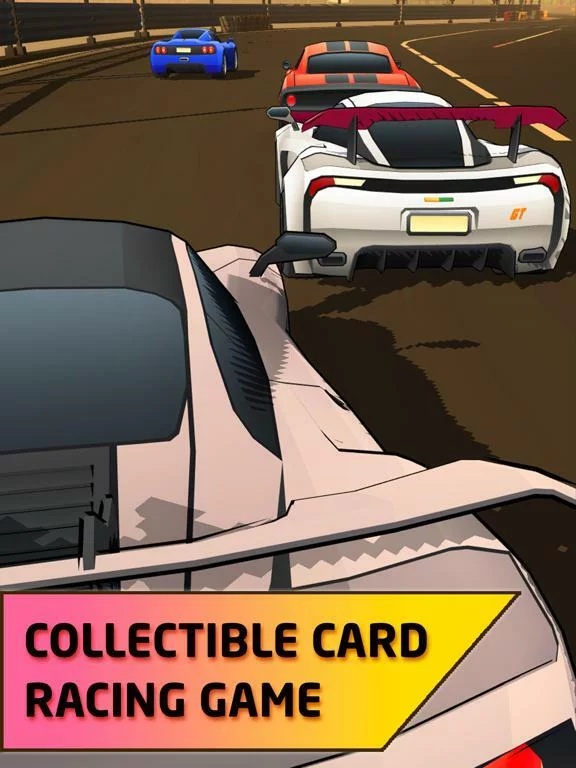Изображение игры: Top Race!