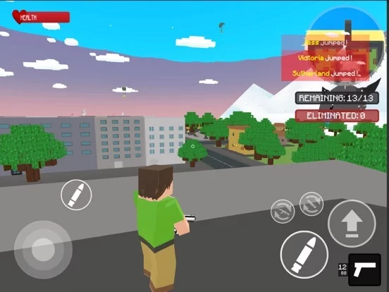 Изображение игры: World Craft Battle Royale