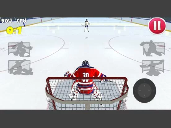 Изображение игры: Hockey Games 3D