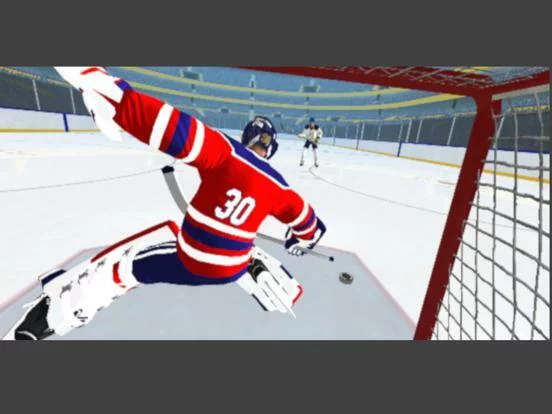Изображение игры: Hockey Games 3D