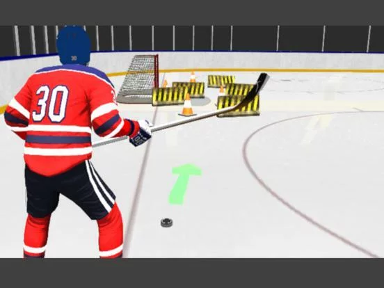 Изображение игры: Hockey Games 3D