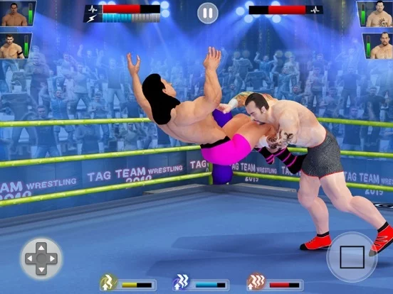 Изображение игры: Real Wrestling Revolution 3d