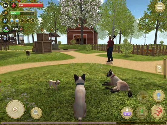 Изображение игры: Cat Simulator 2020