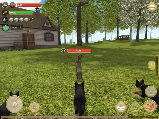 Изображение игры: Cat Simulator 2020